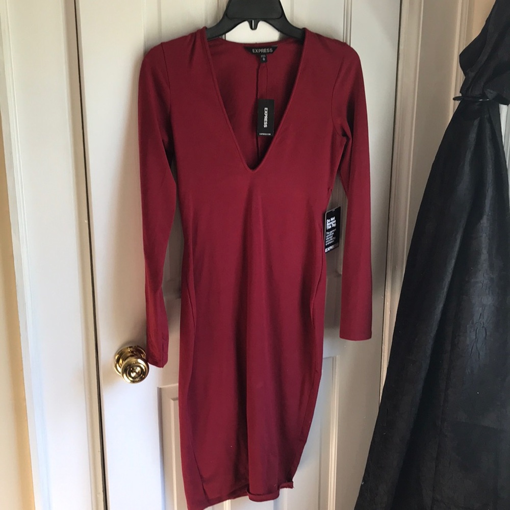 EXPRESS long sleeved dress